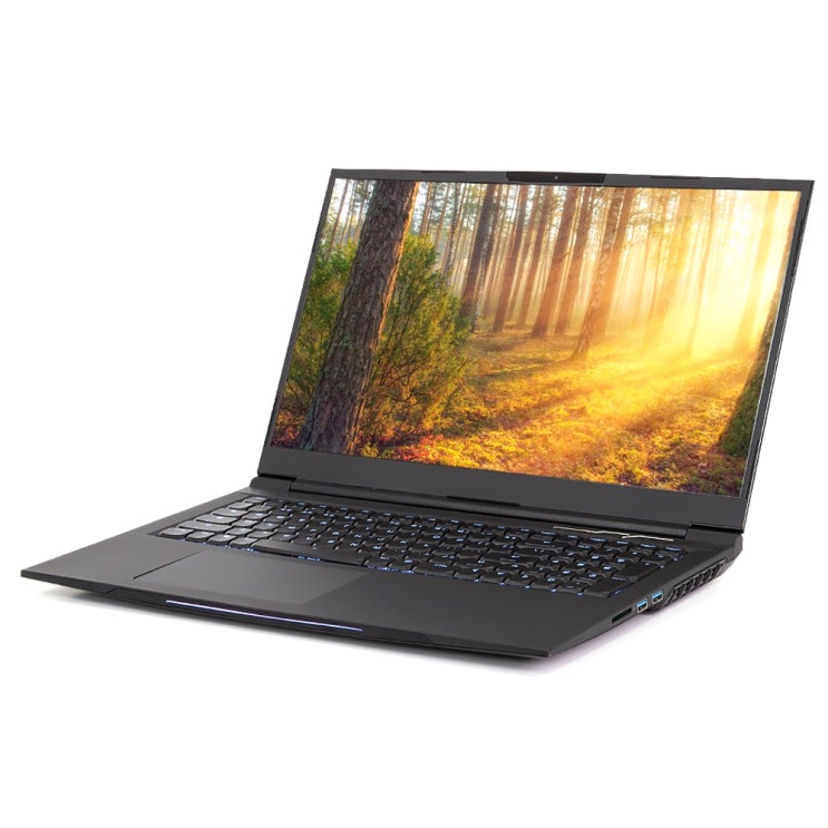 리뷰가 좋은 한성컴퓨터 노트북 TFG176W (i7-8750H 43.94 cm GeForce 1060), 256GB, 8GB, WIN10 Home, 혼합 색상(로켓배송) 좋아요