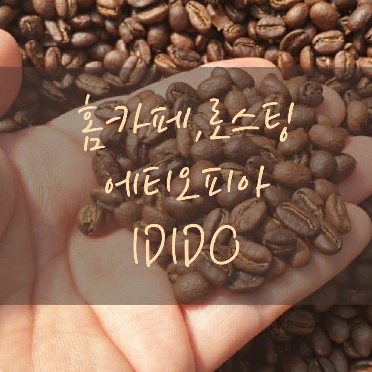  에티오피아 IDIDO 커피 원두 홈 로스팅