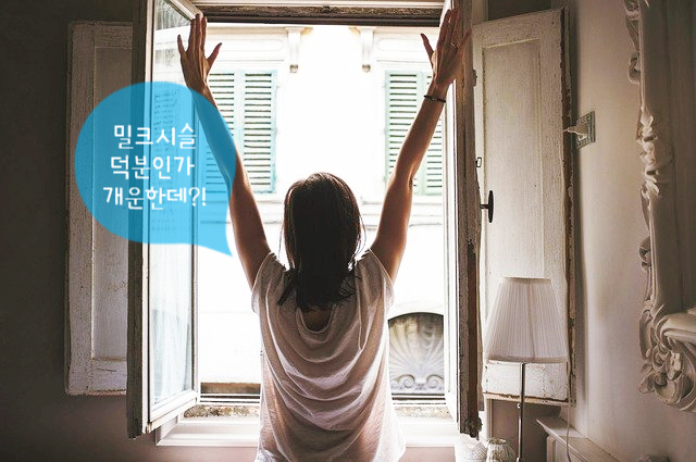  나우푸드 밀크시슬! 나의 아침을 위해!