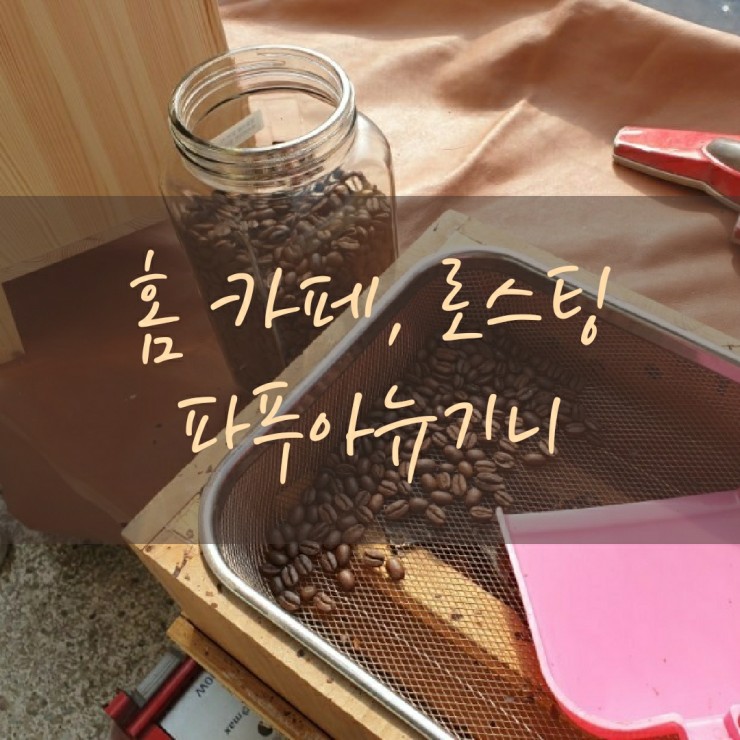  커피 원두 로스팅, 홈 카페! 통돌이 로스터기, 파푸아 뉴기니 생두.
