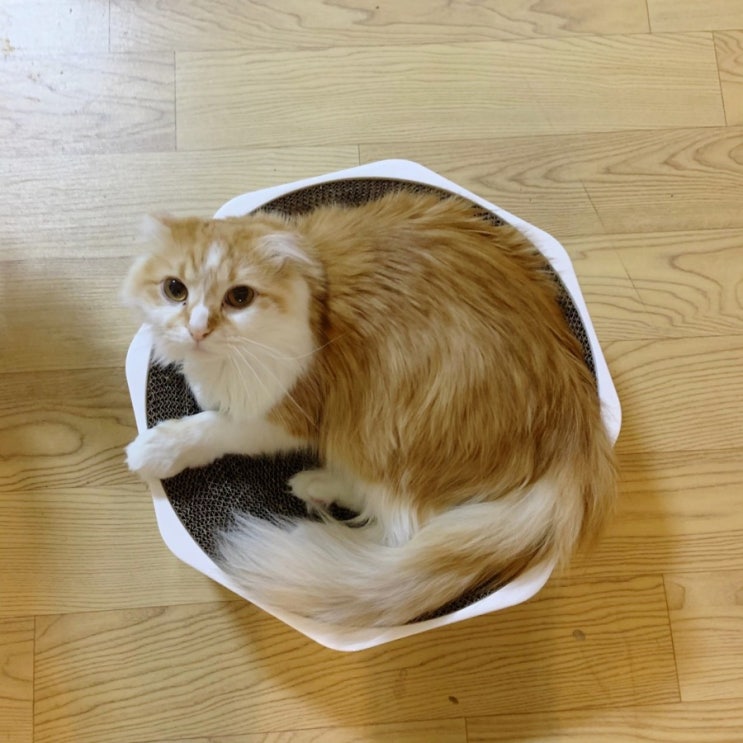  두유의 오늘 하루
