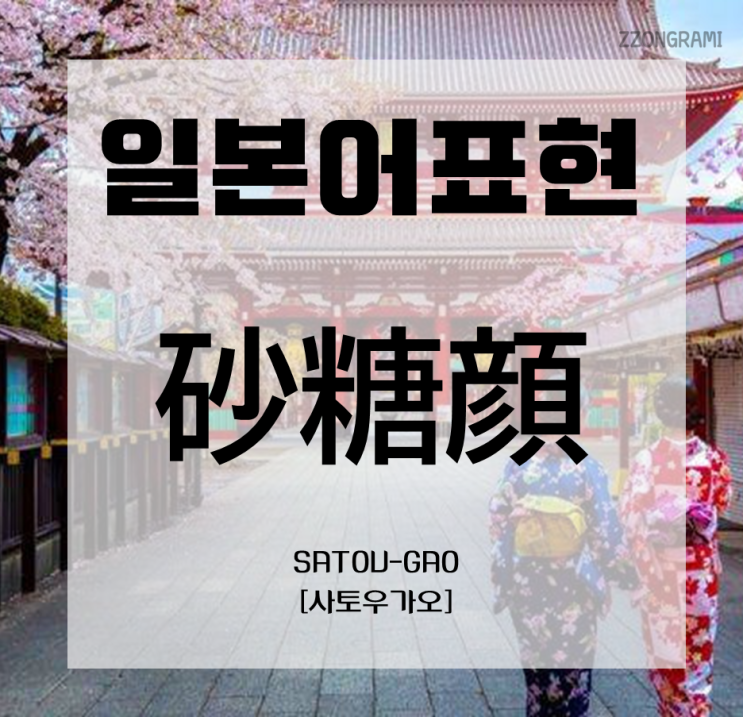  [일본어 공부] 일본어 표현 : 조미료로 구분한 얼굴(顔) 표현⑥ 「砂糖顔」