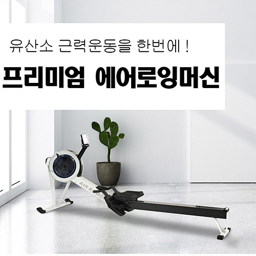 잘팔리는 가정용 에어 로잉머신 접이식 홈트레이닝 운동기구 CONCEPT2, 화이트 좋아요 잘팔리는 가정용 에어 로잉머신 접이식 홈트레이닝 운동기구 CONCEPT2, 화이트 좋아요