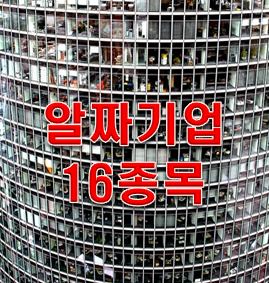  영업이익률.순이익률 30%이상 알짜기업 16개종목