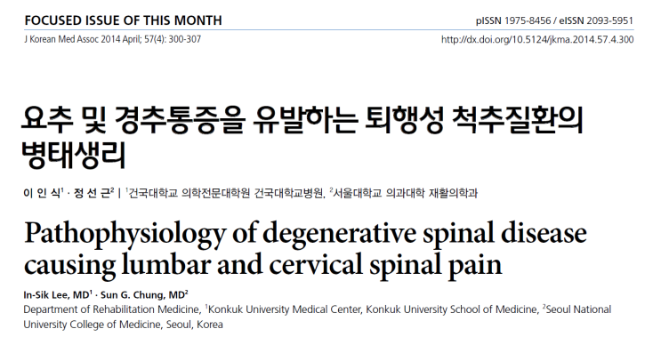  척추관협착증 혈류 개선으로 치료를?