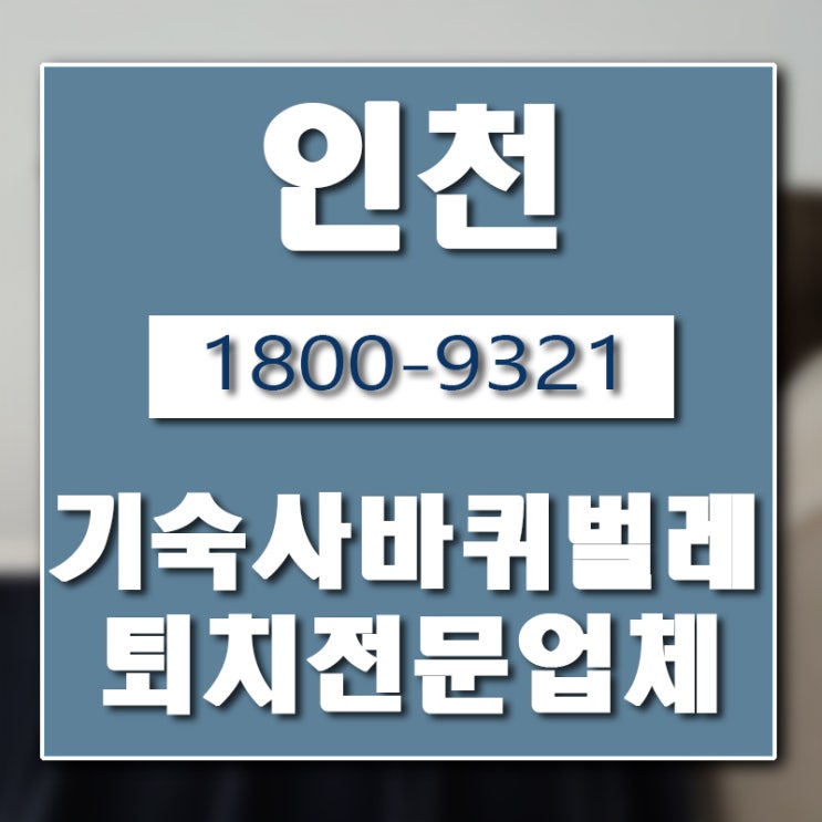 인천 기숙사 바퀴벌레 방역 전문 업체 버그헌터119입니다.