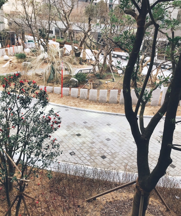  내 방 창문 밖 풍경을 보며~