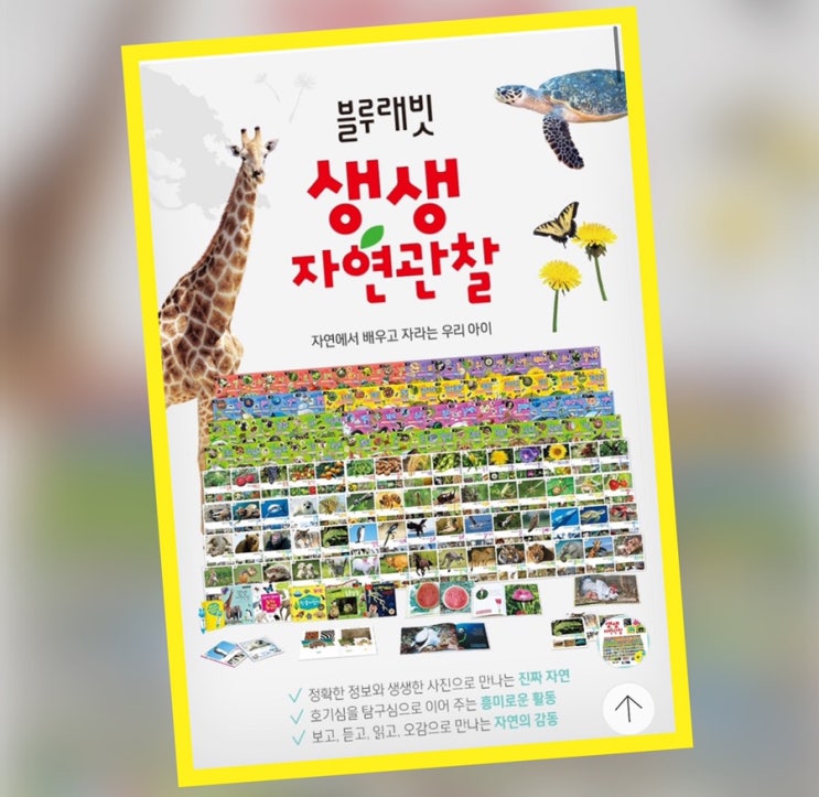 육아서포터즈 BR 16기 세번째 연임소식, RG메이트 12기로 만나요!