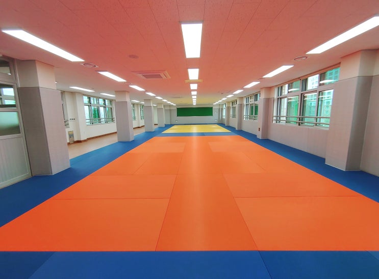  충남 계룡 용남초등학교 특별교실 체육실 - 다오코리아 안전 바닥 매트 & 안전 보호벽 매트 설치