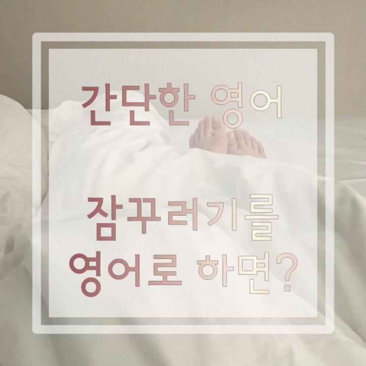  간단한영어표현::잠꾸러기를 영어로 하면? 잠에 대한 영어 문구