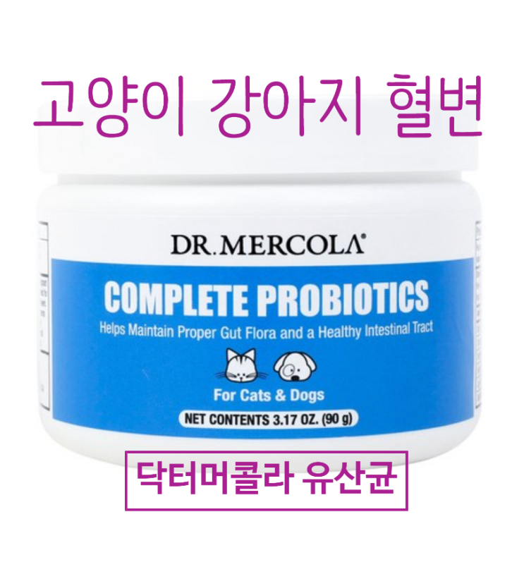 강아지 피똥, 고양이 피똥 이제는 닥터머콜라 유산균으로 멈추자