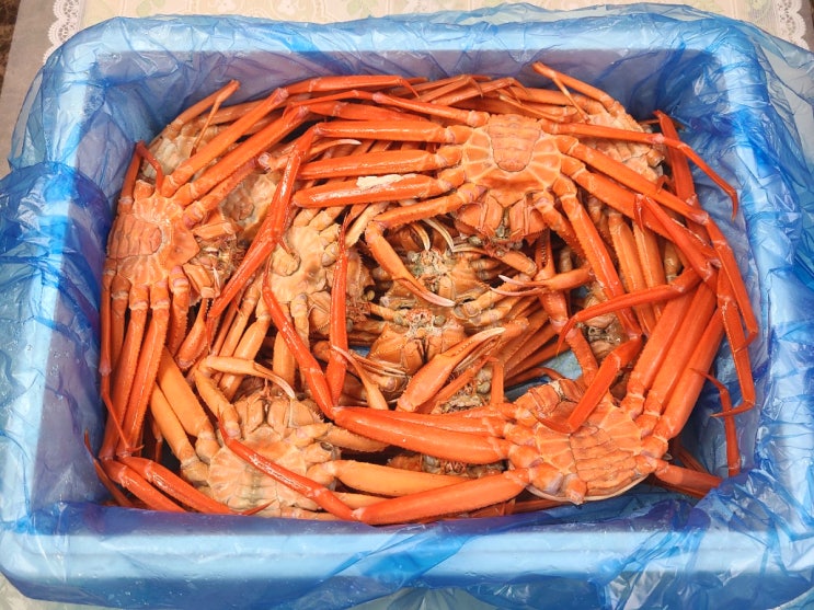 산지직송 성이수산에서 제철 연지홍게 맛봤어요~ 산지직송 성이수산에서 제철 연지홍게 맛봤어요~