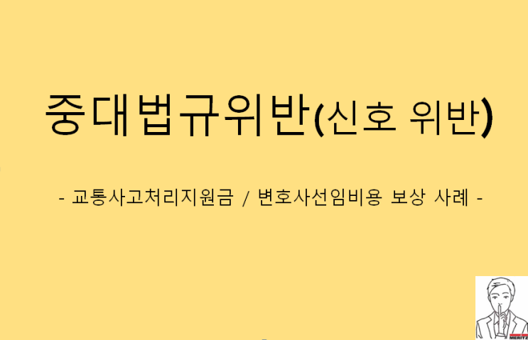  중대법규위반(신호 위반) 사고로 교통사고처리지원금, 변호사선임비용 보상 사례