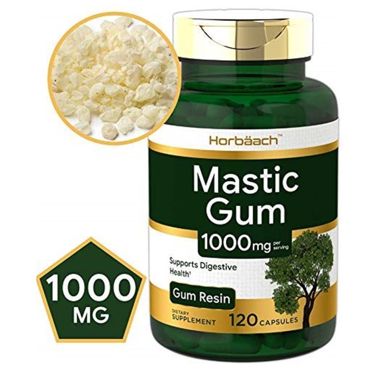 당신만 모르는 Horbach Mastic Gum 매스틱검 1000mg 위 건강 120정, 1팩 좋아요