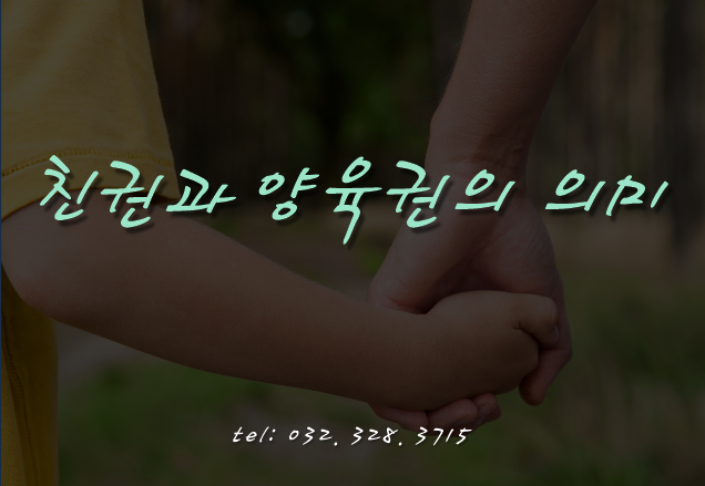  [부천인천변호사]이혼시 친권과 양육권의 결정은?