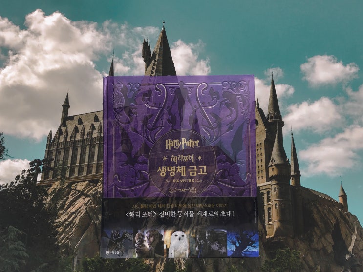  [리뷰] 생명체 금고 in 해리포터