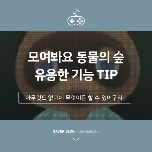  모여봐요! 동물의숲(모동숲) 기능 팁