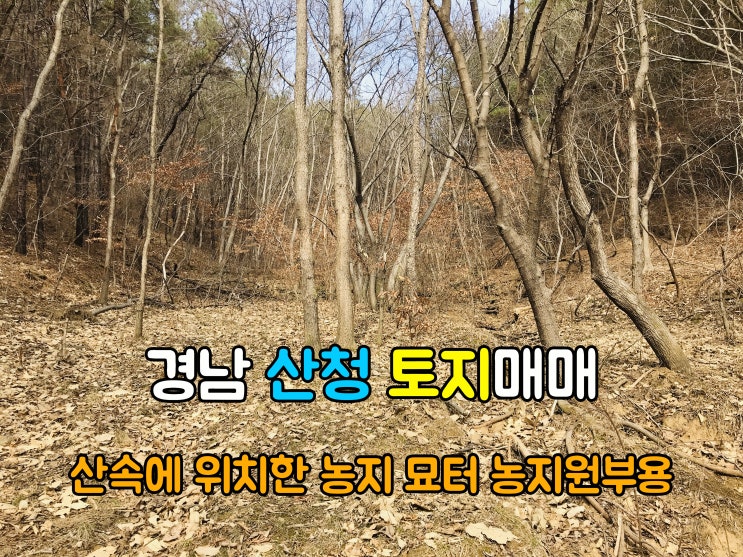  산청부동산(1-732) 아주 저렴한 산속에 위치한 묘터 농지원부용 자연인 경남토지 산청땅 매매 입니다