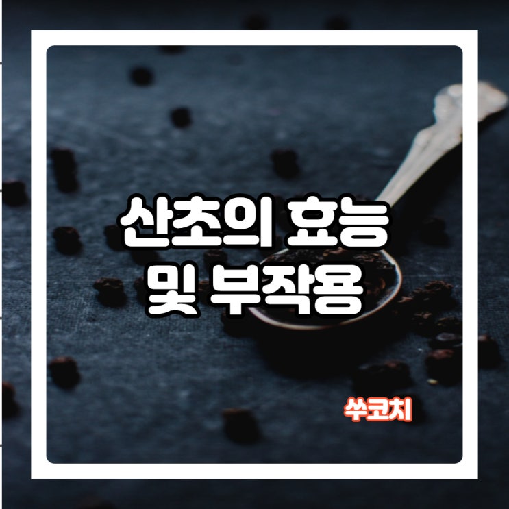  마라탕에 들어가는 산초의 효능 및 부작용 알아보기!