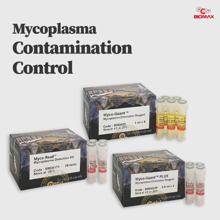  Mycoplasma Contamination Control