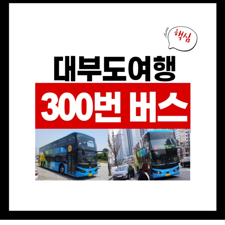  안산-대부도 2층 버스 300번 노선