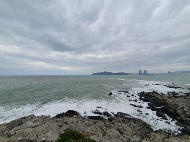  2021 개강직전 2박 3일 부산여행 2일차 ①