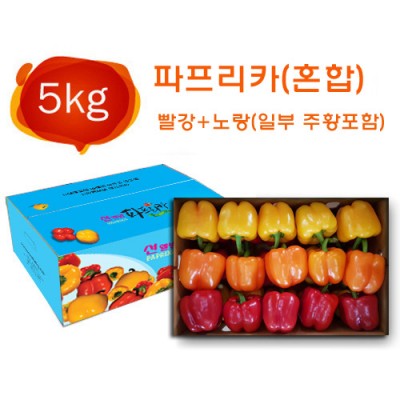 잘나가는 특가세일 (선웰빙 파프리카) 국내산 신선 산지직송 파프리카 5kg ( 혼합 ), 1box 좋아요