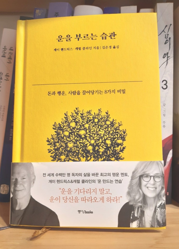 운을 부르는 습관 / 게이 헨드릭스, 캐럴 클라인 운을 부르는 습관 / 게이 헨드릭스, 캐럴 클라인