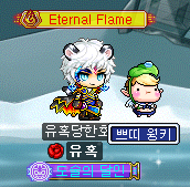 메이플스토리 페어리 브로 펫 선택권 쁘띠 웨이브 & 윙키 메이플스토리 페어리 브로 펫 선택권 쁘띠 웨이브 & 윙키