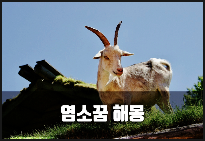 염소꿈 흰염소꿈 흑염소꿈 17가지 상황별 꿈해몽