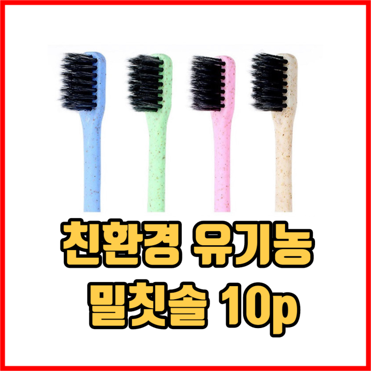 최근 인기있는 친환경 유기농 밀칫솔 10p 친환경칫솔 유기농칫솔 성인칫솔 어린이칫솔 아이칫솔, 1세트 추천해요