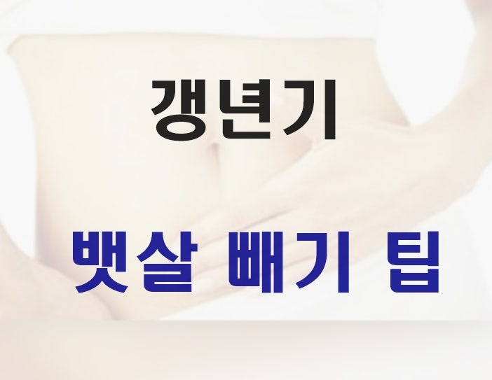 50대 갱년기 뱃살 빼기 팁 3가지