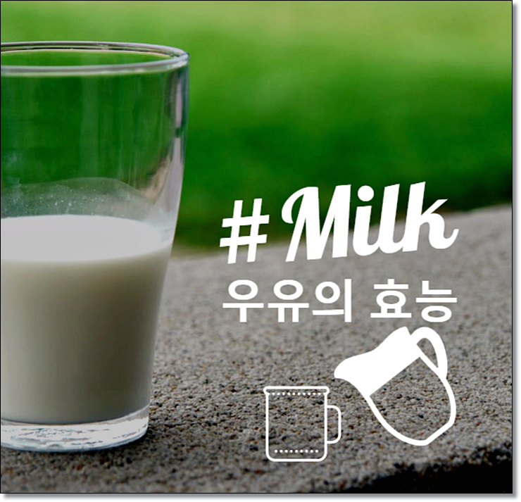 우유의 효능 알아보고 K-밀크 꿀에 타드세요.