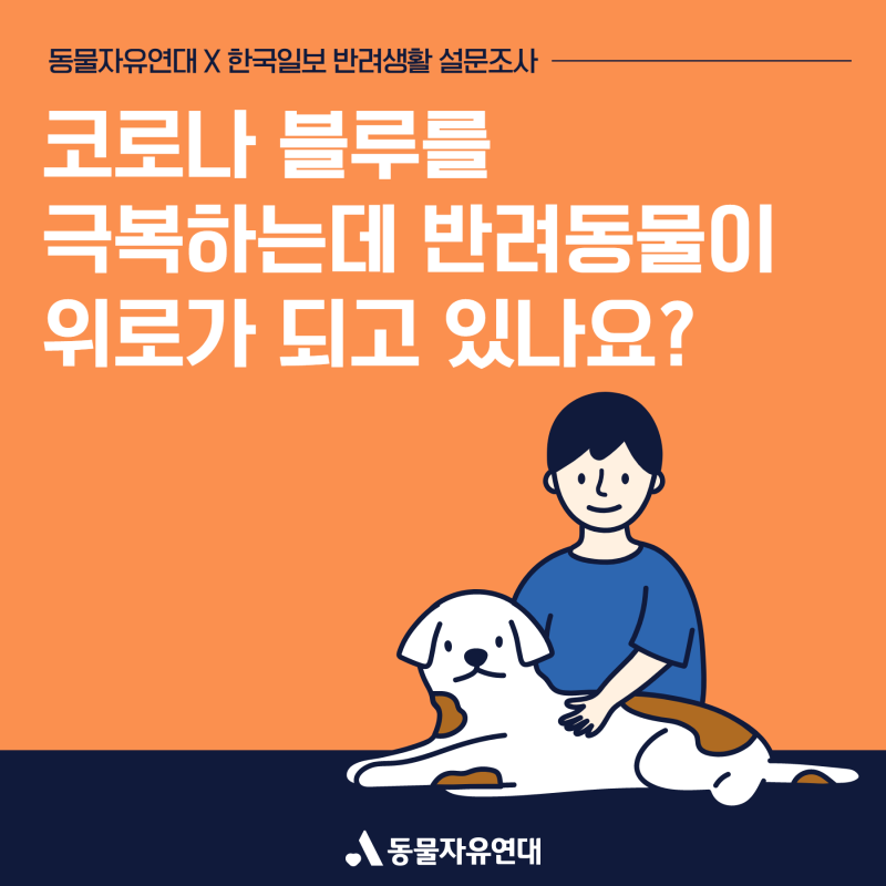 동물자유연대X한국일보] 코로나19 시대, 반려생활 설문조사 : 네이버 블로그
