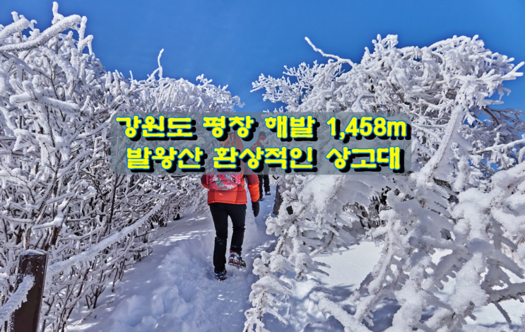 강원도 평창 해발 1,458m 발왕산 환상적인 상고대