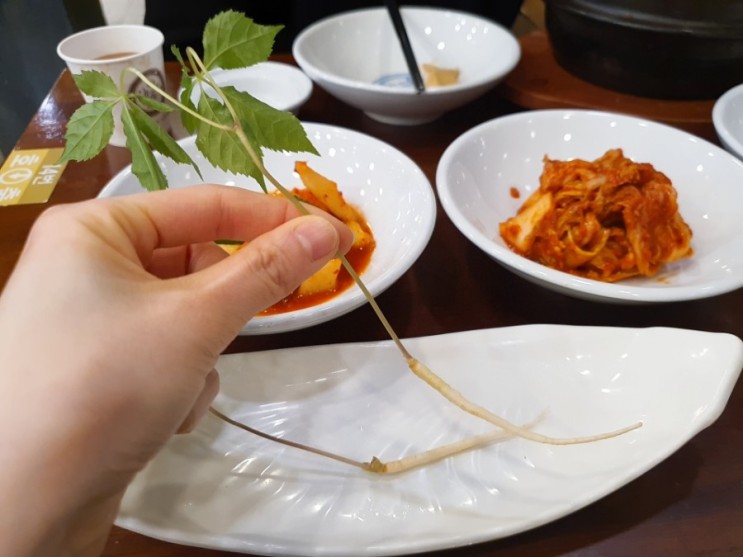 성남 시청 맛집*황제삼계탕 내돈내산으로 상황버섯 삼계탕 먹은 솔직 후기