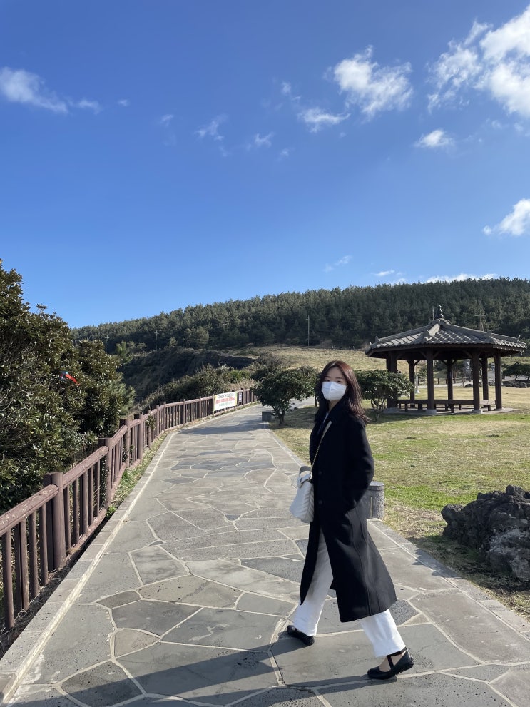  [Travel] 제주도 신혼여행 1탄!! 제주도 서쪽 여행 & 맛집추천c (금능해수욕장, 새별헤이요목장, 송악산둘레길, 산방산 유채꽃밭, 사계전복, 거멍국수)