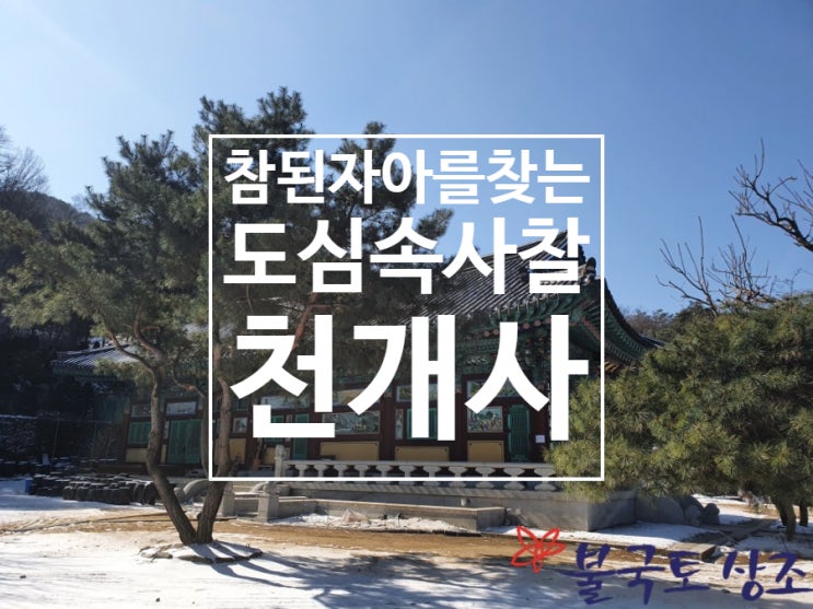  참된 자아를 찾는 도심속 숨은 사찰 천개사