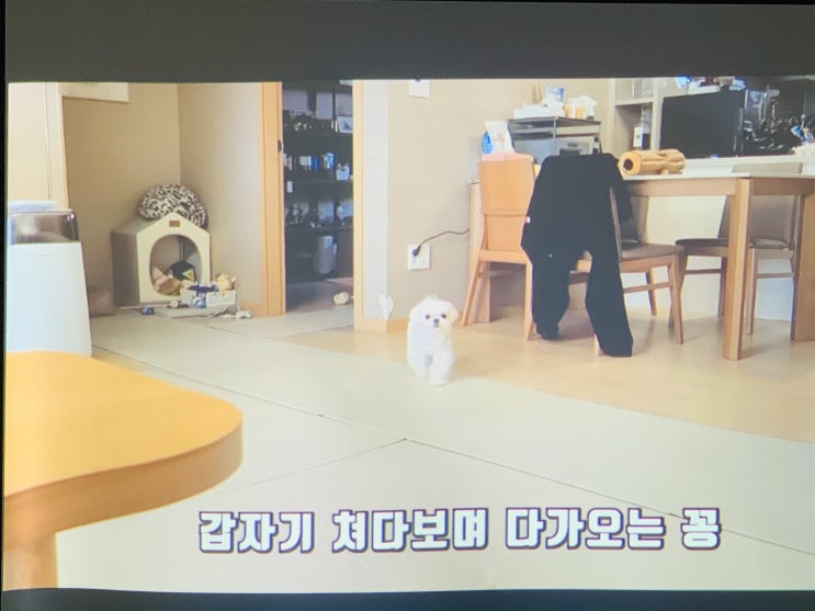  국영수 학원 수업효율 좋은 빔프로젝트 스크린 설치후기