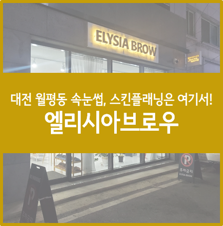  대전속눈썹, 스킨플래닝으로 유명한 엘리시아브로우