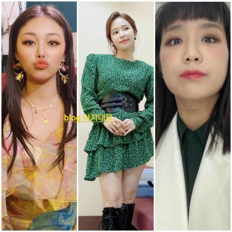 사랑의 콜센타 임영웅 나이 키 학력 포천 아들 ⭕백아연 나이 가수 홍자 나이, ❤치타 나이 ....