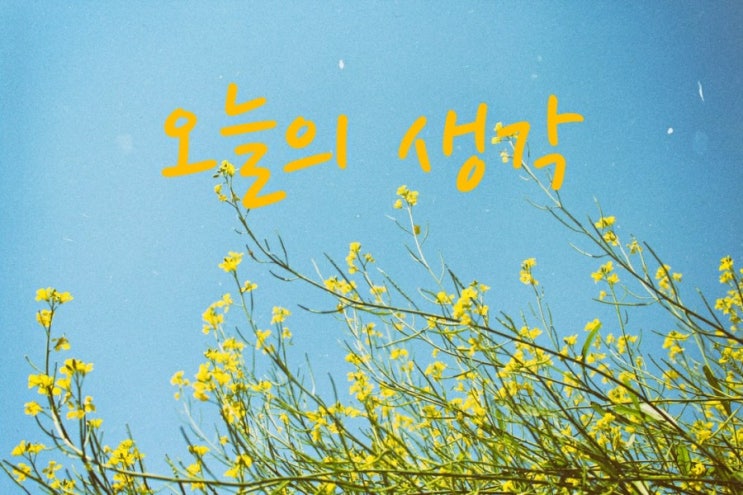  [오늘의 생각] 7