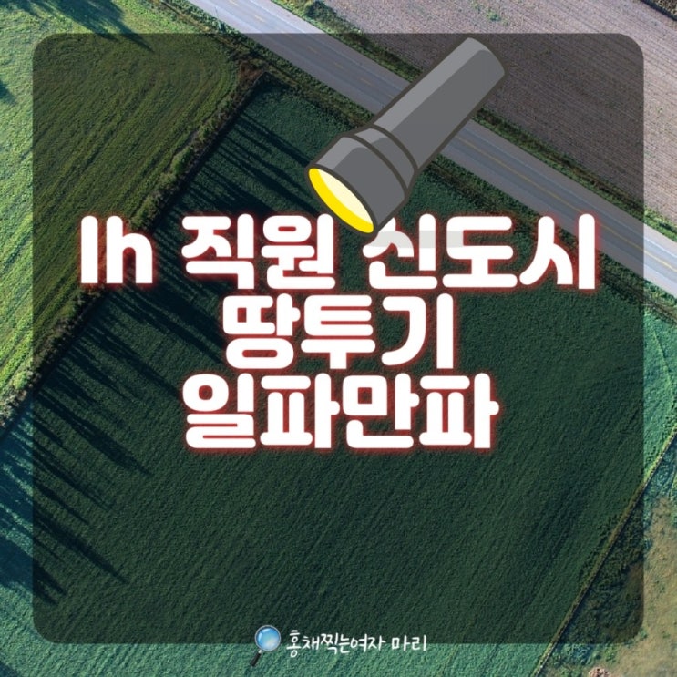  LH직원 땅투기 의혹 관련하여 연일 국민들 놀라게 하는 제보들 쏟아져! 청와대 국민청원까지 등장