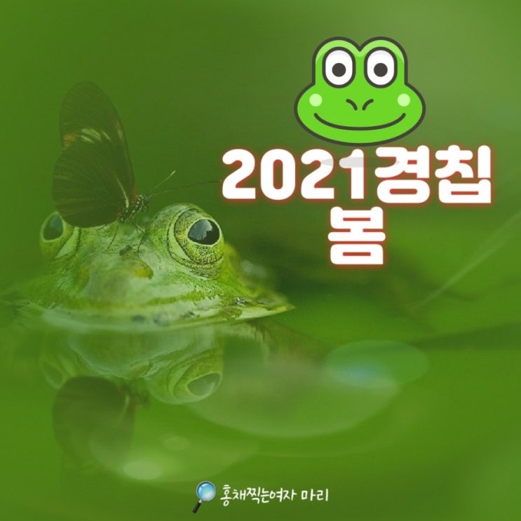  2021년 경칩 봄의 시작!