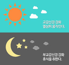  부교감신경활성방법10가지 불안공황장애원인 자율신경균형실조증