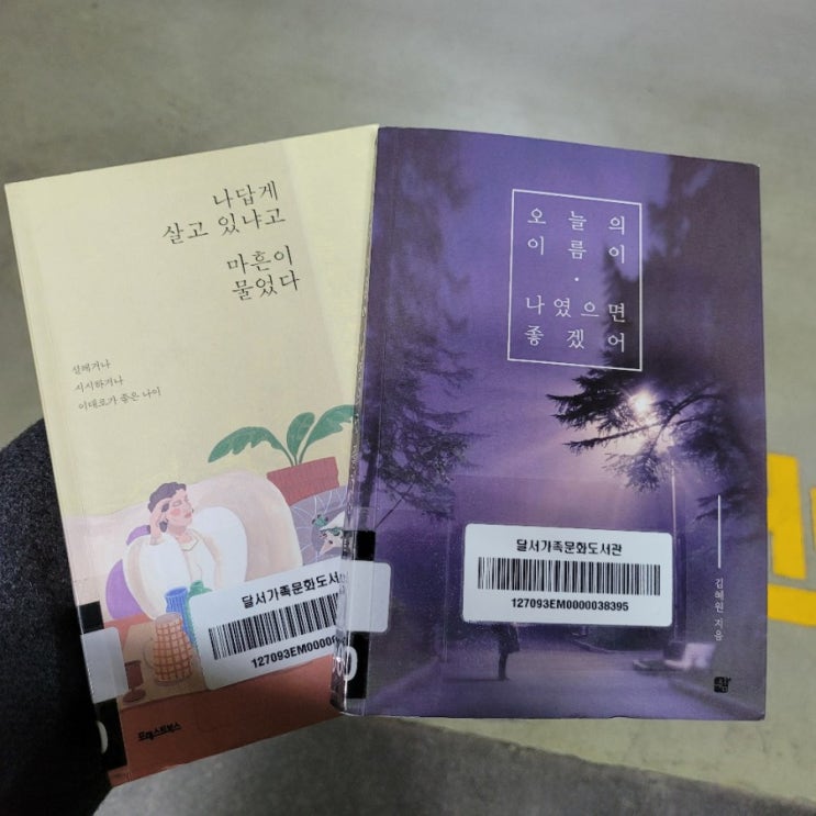  날좋은날 간만에 도서관