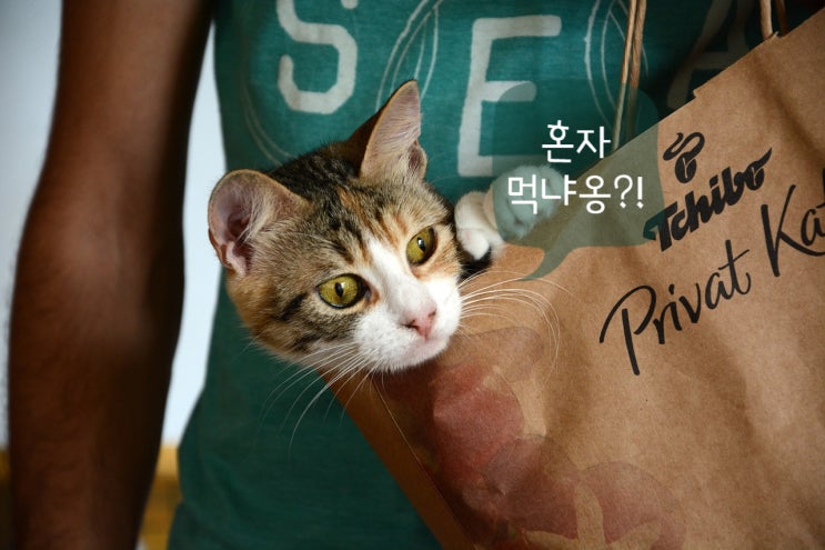  솔가 마그네슘 with B6 눈이 점점 떨려오는 나에게