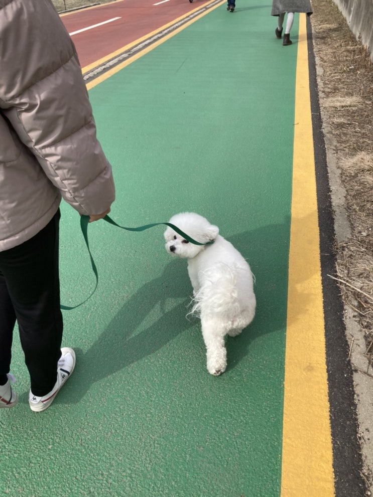  1일 1산책