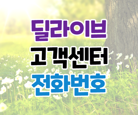 딜라이브 고객센터 전화번호 이용시간 딜라이브 고객센터 전화번호 이용시간