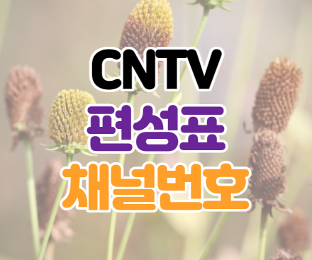 CNTV 채널 편성표 채널번호 VOD 시청 정보 CNTV 채널 편성표 채널번호 VOD 시청 정보